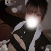 ヒメ日記 2025/02/28 06:11 投稿 ねこ（極上SPコース対応） LIGHT（ライト）～光が導く無限の可能性～