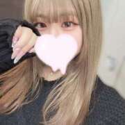 ヒメ日記 2025/03/14 17:41 投稿 ねこ（極上SPコース対応） LIGHT（ライト）～光が導く無限の可能性～