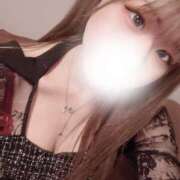 ヒメ日記 2025/03/17 11:01 投稿 ねこ（極上SPコース対応） LIGHT（ライト）～光が導く無限の可能性～