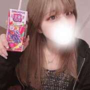 ヒメ日記 2025/03/21 09:34 投稿 ねこ（極上SPコース対応） LIGHT（ライト）～光が導く無限の可能性～