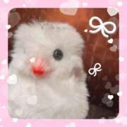 ヒメ日記 2025/09/09 09:13 投稿 ふゆ ドマーニ