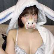 ヒメ日記 2025/11/09 19:16 投稿 あんじゅ ノース -North-