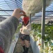 ヒメ日記 2026/02/01 21:58 投稿 じゅり 俺のKissリフレ