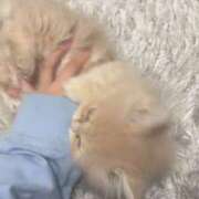 ヒメ日記 2026/04/12 12:09 投稿 じゅり 俺のKissリフレ