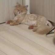 ヒメ日記 2026/06/10 13:48 投稿 じゅり 俺のKissリフレ