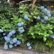 ヒメ日記 2026/06/14 19:48 投稿 じゅり 俺のKissリフレ