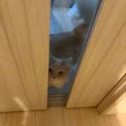 ヒメ日記 2026/08/17 00:18 投稿 じゅり 俺のKissリフレ