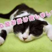 こころ★ 11月の出勤 恵里亜(エリア)