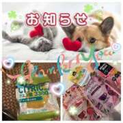 ヒメ日記 2026/04/08 18:03 投稿 こころ★ 恵里亜(エリア)