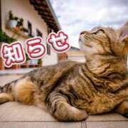 こころ★ キャンセル枠出ました 恵里亜(エリア)