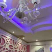 ヒメ日記 2025/02/20 03:39 投稿 黒咲かずは ウルトラハピネス