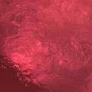 ヒメ日記 2025/02/20 03:53 投稿 黒咲かずは ウルトラハピネス