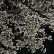 ヒメ日記 2026/04/06 01:56 投稿 黒咲かずは ウルトラハピネス