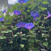 ヒメ日記 2025/07/02 16:09 投稿 なな 虹色メロンパイ 横浜店