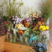 ヒメ日記 2025/08/22 09:45 投稿 なな 虹色メロンパイ 横浜店