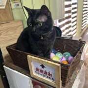 ヒメ日記 2026/05/15 18:35 投稿 ももこ PINK PLANET