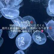 ヒメ日記 2026/08/19 17:09 投稿 ももこ PINK PLANET