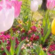 ヒメ日記 2026/04/05 16:31 投稿 うる プレミアム(福原)