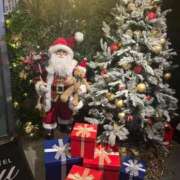 ヒメ日記 2025/11/29 00:03 投稿 あおい 白いぽっちゃりさん仙台店