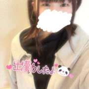 ヒメ日記 2025/01/30 09:01 投稿 こはる どMばすたーず すすきの店