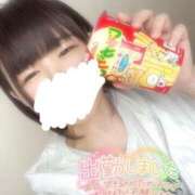 ヒメ日記 2025/02/10 12:20 投稿 こはる どMばすたーず すすきの店