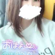 ヒメ日記 2025/03/29 09:28 投稿 こはる どMばすたーず すすきの店