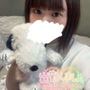 ヒメ日記 2025/05/10 12:22 投稿 こはる どMばすたーず すすきの店