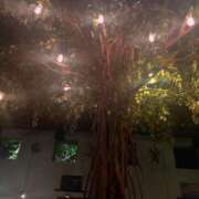 ヒメ日記 2025/09/06 05:03 投稿 冬花 OLアロマ Office Love-オフィスラブ-