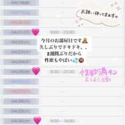 ヒメ日記 2025/04/15 21:12 投稿 りあん 素人系イメージSOAP彼女感大宮館