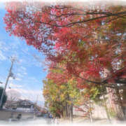 ヒメ日記 2025/12/09 16:01 投稿 るり 若妻淫乱倶楽部 古河店