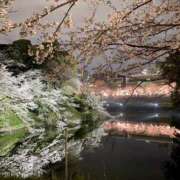 ヒメ日記 2025/04/09 17:54 投稿 ゆいり もしも清楚な20、30代の妻とキスイキできたら横浜店