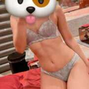 ヒメ日記 2025/02/16 16:15 投稿 はつね CECIL