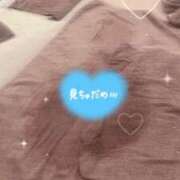 ヒメ日記 2025/02/28 15:54 投稿 はつね CECIL