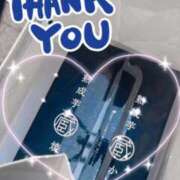 ヒメ日記 2025/03/08 17:19 投稿 はつね CECIL