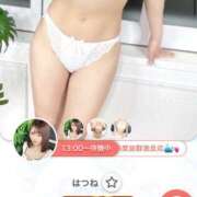 ヒメ日記 2025/03/10 13:07 投稿 はつね CECIL