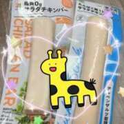 ヒメ日記 2025/03/11 15:41 投稿 はつね CECIL