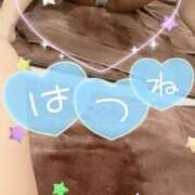 ヒメ日記 2025/03/12 01:30 投稿 はつね CECIL