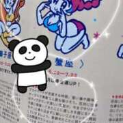 ヒメ日記 2025/03/17 11:30 投稿 はつね CECIL