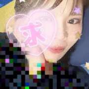 ヒメ日記 2025/03/19 16:00 投稿 はつね CECIL