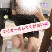 ヒメ日記 2025/03/24 11:00 投稿 はつね CECIL