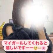 ヒメ日記 2025/03/27 19:00 投稿 はつね CECIL