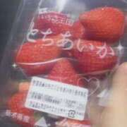 ヒメ日記 2025/03/31 17:00 投稿 はつね CECIL