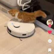 ヒメ日記 2025/04/03 07:01 投稿 はつね CECIL