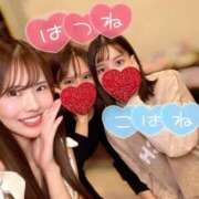 ヒメ日記 2025/04/03 23:52 投稿 はつね CECIL