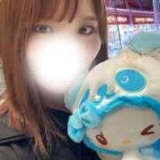 ヒメ日記 2025/04/06 01:37 投稿 はつね CECIL