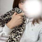 ヒメ日記 2025/04/07 18:00 投稿 はつね CECIL