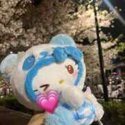 ヒメ日記 2025/04/15 21:00 投稿 はつね CECIL