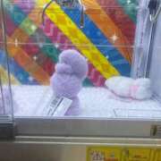 ヒメ日記 2025/04/16 18:15 投稿 はつね CECIL