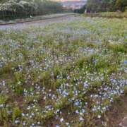 ヒメ日記 2025/04/21 21:10 投稿 はつね CECIL