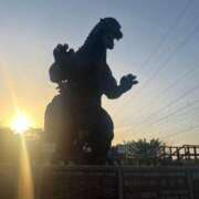 ヒメ日記 2025/04/22 07:30 投稿 はつね CECIL